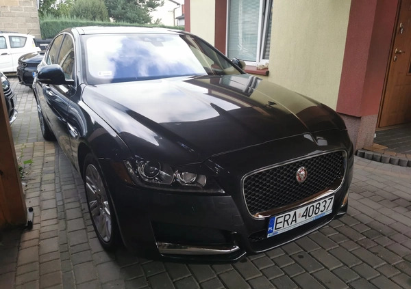 Jaguar XF cena 83900 przebieg: 81600, rok produkcji 2016 z Wyśmierzyce małe 67